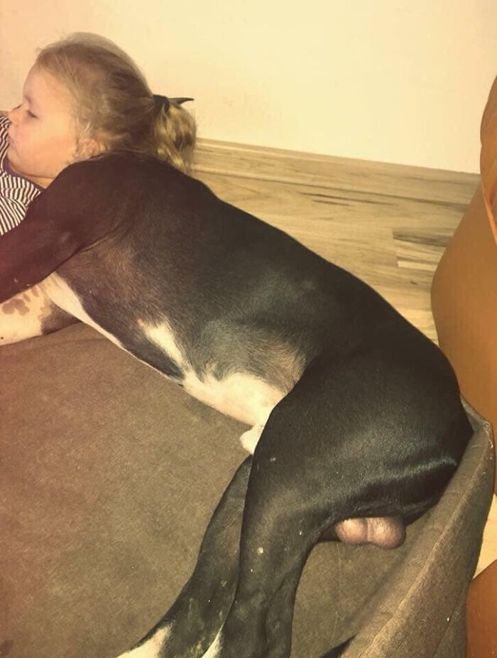 A Girl Lying Back Against A Dog