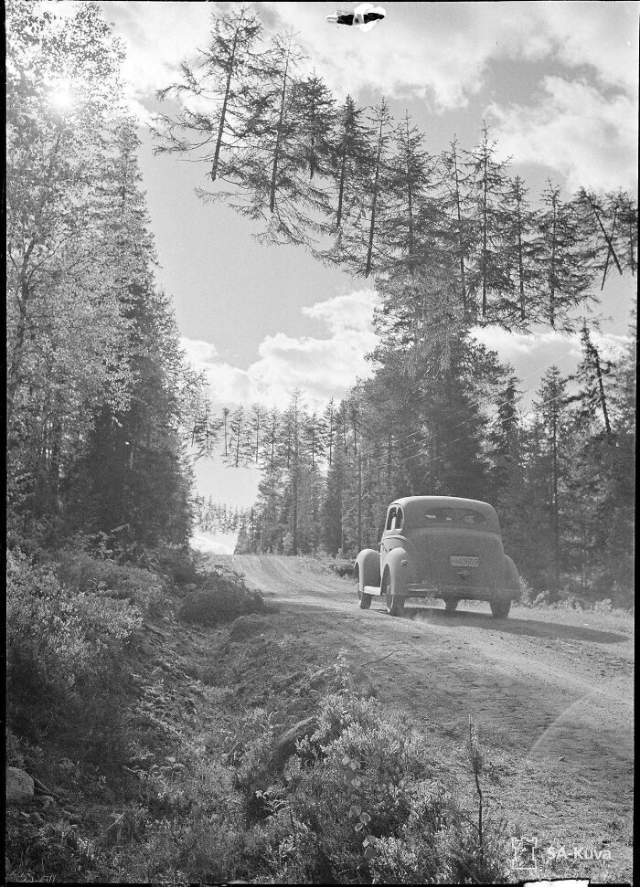Carretera camuflada en Finlandia durante la Guerra de Continuación (27 de junio de 1941)