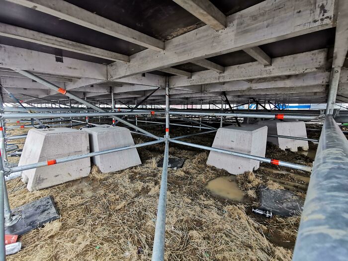 Underneath A Music Festival Stage