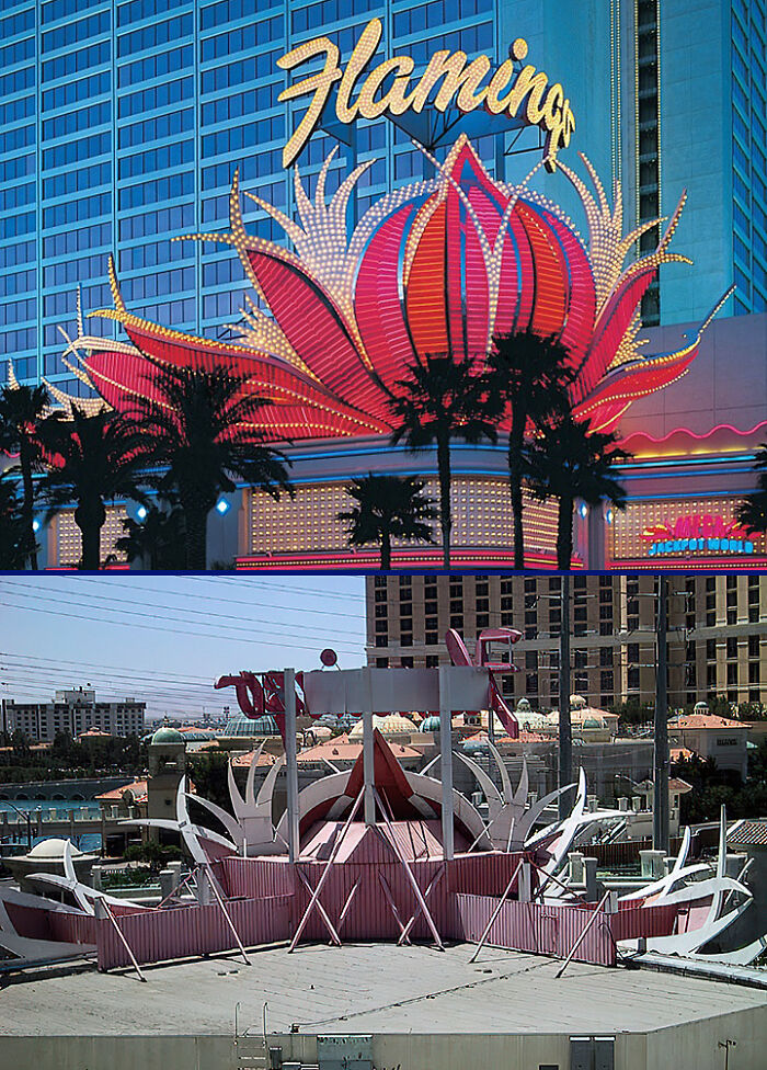 The Back Of The Flamingo Sign, Las Vegas