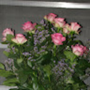 elisabethspear avatar