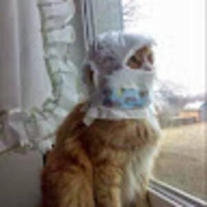 christinescott avatar