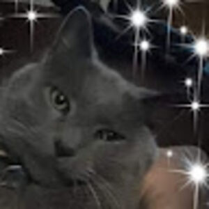 hondasmama2005 avatar