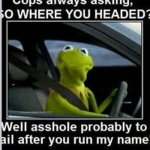 dawnice_robinson avatar