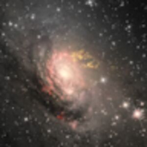 lauraberman_1 avatar