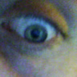 skorewolfchild avatar