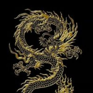 951420789001416 avatar