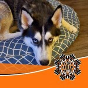 imjustapussycat avatar