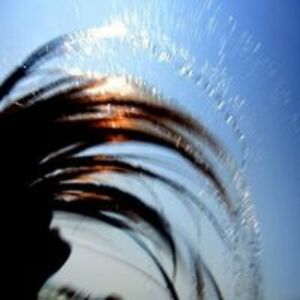 matthias_mendler avatar