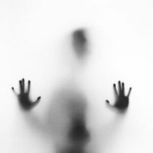 das_fenster2000 avatar