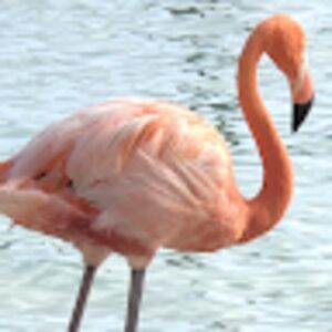 mirandabakker avatar