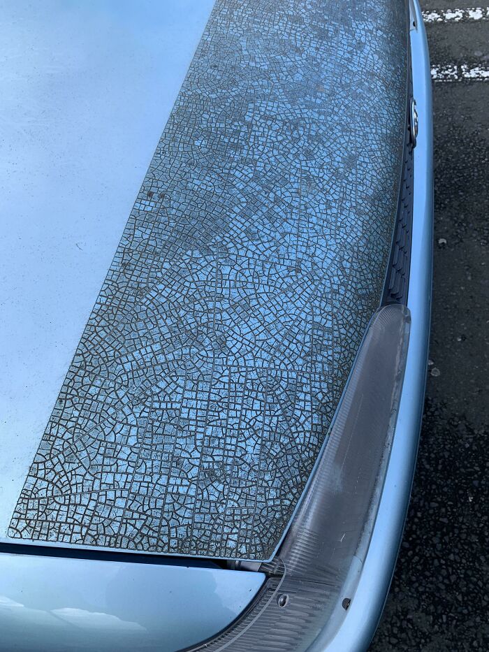 This Car Protection Film Now Looks Like A Densely Populated City Map