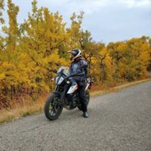 alli_in_calgary avatar