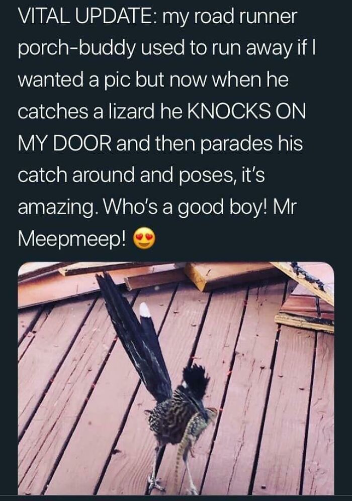 Thanks, I Love Mr Meepmeep