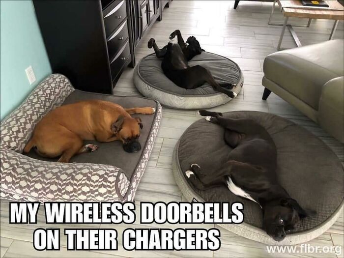 Thanks, I Love My Wireless Doorbells