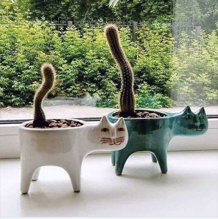 Gracias, adoro esta maceta para cactus con forma de gato
