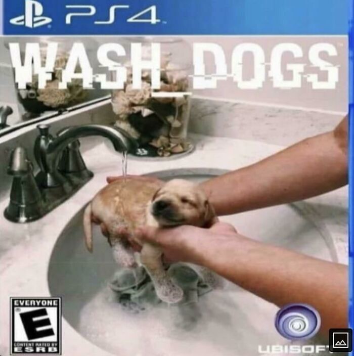 Thanks, I Love Wash Dogs.