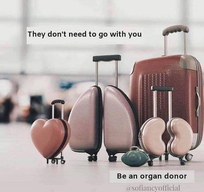Thanks, I Love Organ Luggage
