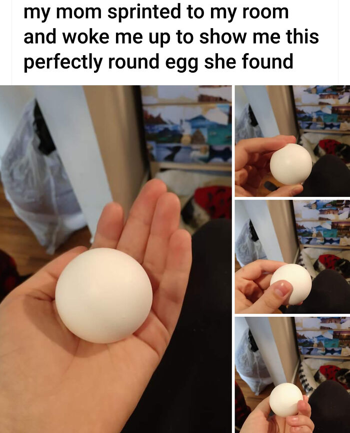 Thanks, I Love Round Eggs