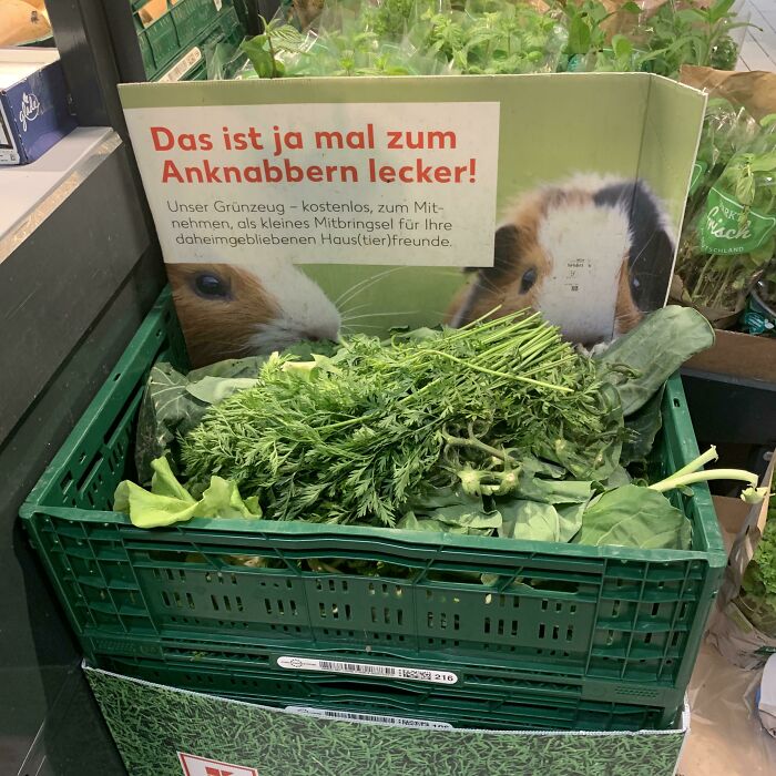 Hojas de verduras gratis para mascotas en la sección de verduras de mi supermercado local