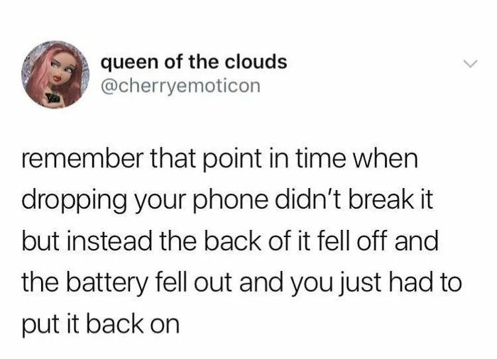 And Then We Could Just Get A New Battery Instead Of Buying A Whole New Phone/Getting The Company To Replace It And Therefore Wasting More Materials