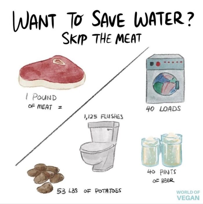 Given That The Average American Eats Around 181 Pounds Of Meat Annually, It Is Easy To See How Meat Consumption Might Account For So Much Of An American’s Water Footprint