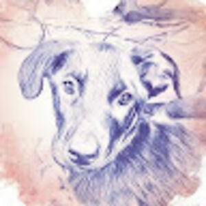 kathrynlundgren avatar