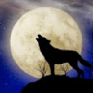 captainhoratio avatar