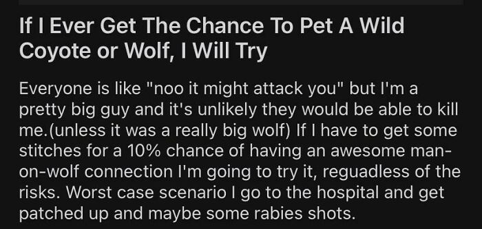 Op Thinks They Could Easily Fight Off A Wolf… Or Even Befriend It