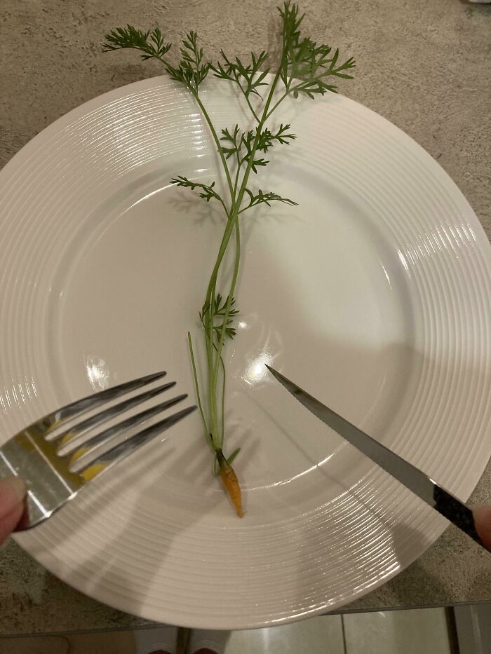 Una zanahoria cultivada en casa