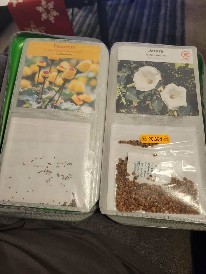 Made A Seed Book From A Cd Case