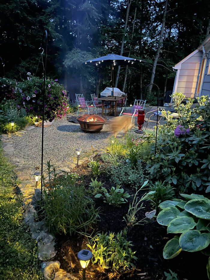 My Garden This Evening Finally Feels Like A Little Oasis