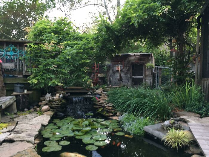  My Mother’s Garden/Pond/Chicken Coop