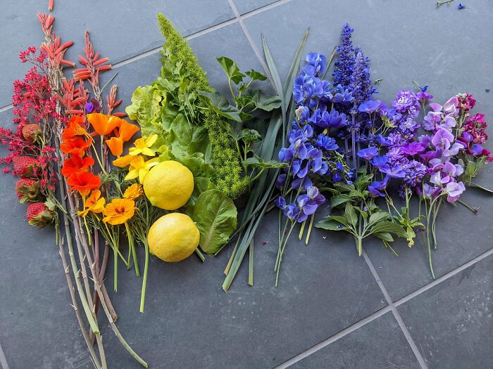 My Niece Loves Rainbows And I Love Gardening (And Rainbows)