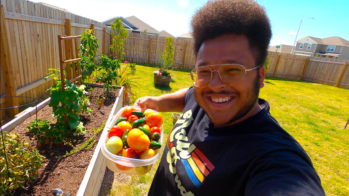 Texas Heatwave Harvest - Tomatoes And Jalapeños