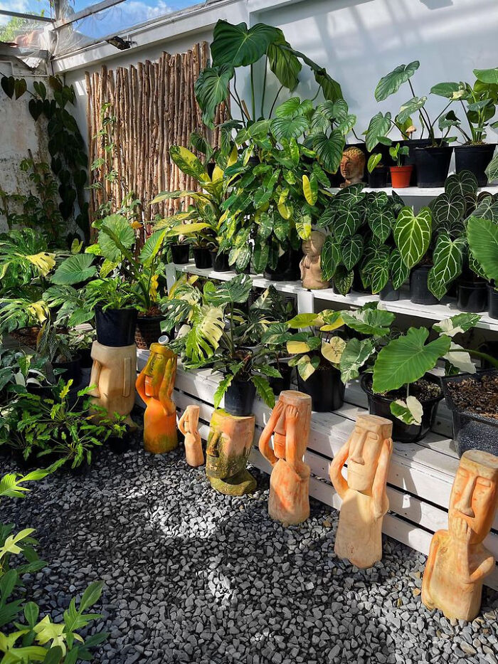 Hola, chicos, mi jardín es de Vietnam. Encantada de conocerlos