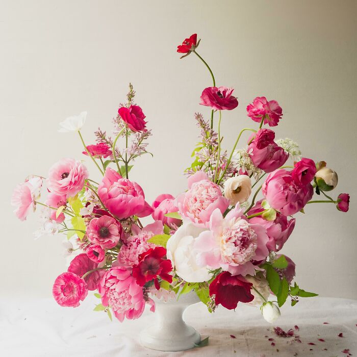 From My Minnesota Garden — Ranunculus, Peonies, Iceland Poppies, Lilacs, Anemones, Aquilegia, Orlaya, Spirea