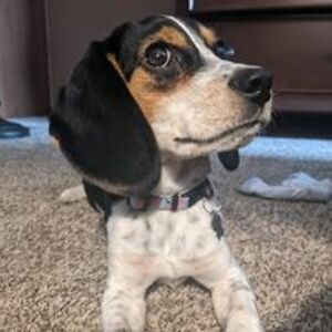 xsingitsuperstarx avatar