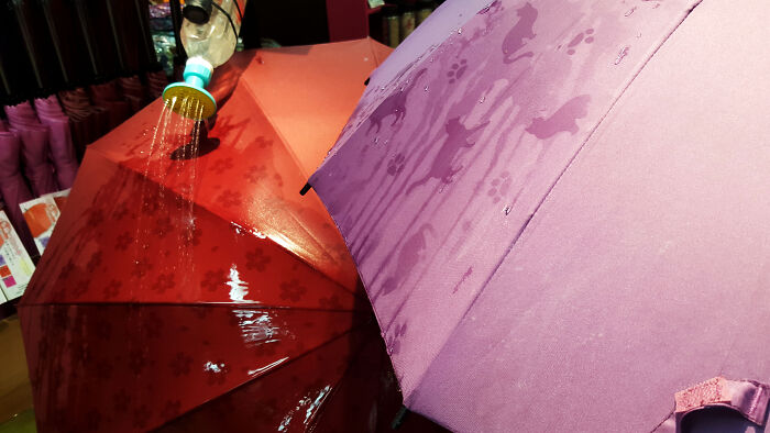 Estos paraguas japoneses solamente muestran el estampado cuando están mojados