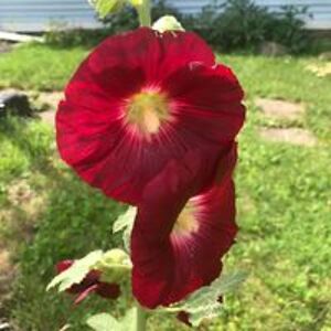 regan_robertson avatar