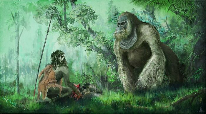 Gigantopithecus Blacki Is A Species Of Great Ape, Who's Closest Living Relative Is The Orangutan. It Stood At Approximately 3 Metres Tall, And Is Thought To Have Lived As Recently As 100,000 Years Ago. Meaning It Co Existed With Early Humans!