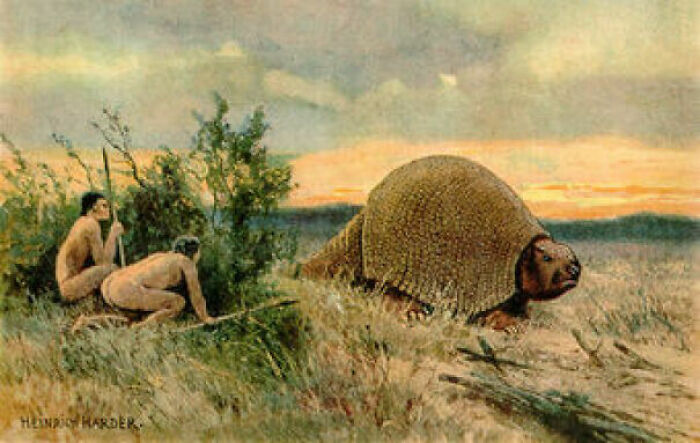 11,000 Years Ago These Giant Armadillos Called "Glyptodonts" Existed Among Humans, And They Probably Went Extinct Because They Were An Easy Food Source For The Humans
