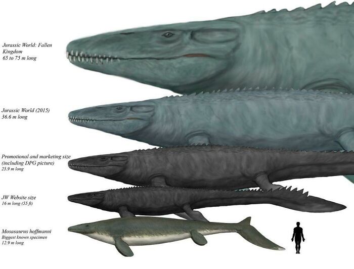 The Mosasaurus In Jurassic Park Compared With An Actual One