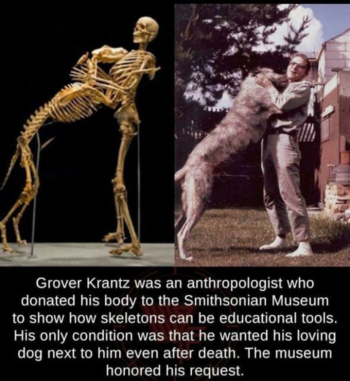 Grover Krantz's Dog Was A Wolfhound