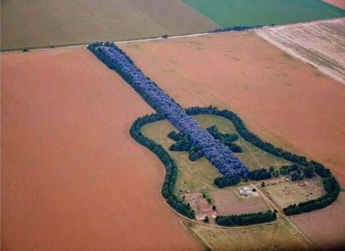 "Estancia La Guitarra" - A Man From Argentina Planted A Guitar-Shaped Forest Of 7,000 Trees, And More Than 1km In Length, In Memory Of His Wife Who Loved Music