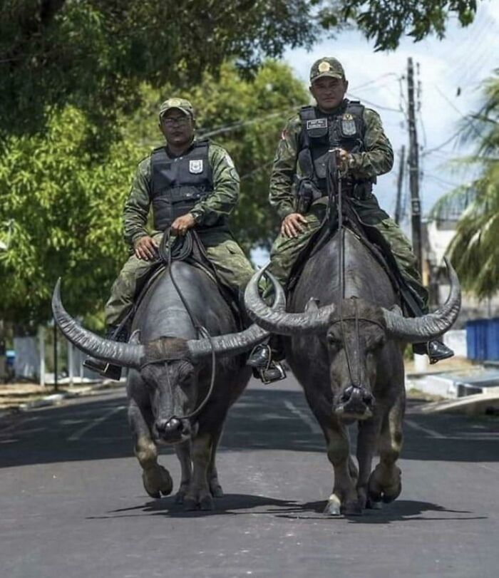 “Buffalo Soldiers” — Military Police — Routinely Patrol The Streets Of The Brazilian Island Of Marajo