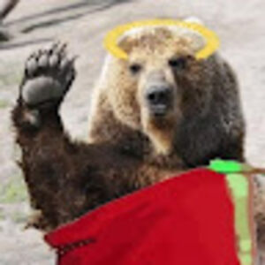 brutusthebear avatar