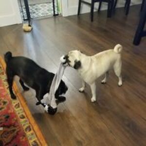 rncasemanager98 avatar