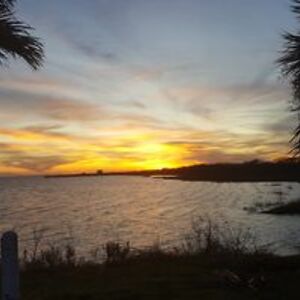 marilyn_waring avatar