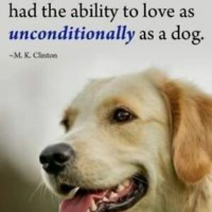 deniseheijnen1997 avatar